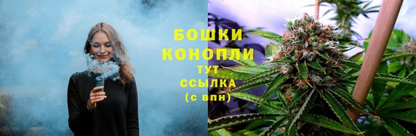 стаф Няндома