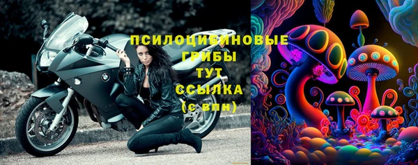дмт Нягань