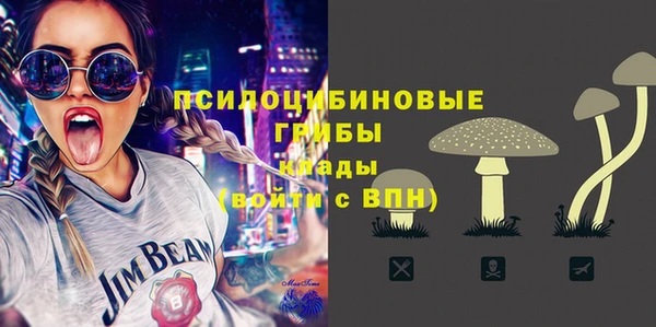 ГАЛЛЮЦИНОГЕННЫЕ ГРИБЫ Алзамай