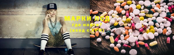 ГАЛЛЮЦИНОГЕННЫЕ ГРИБЫ Алзамай